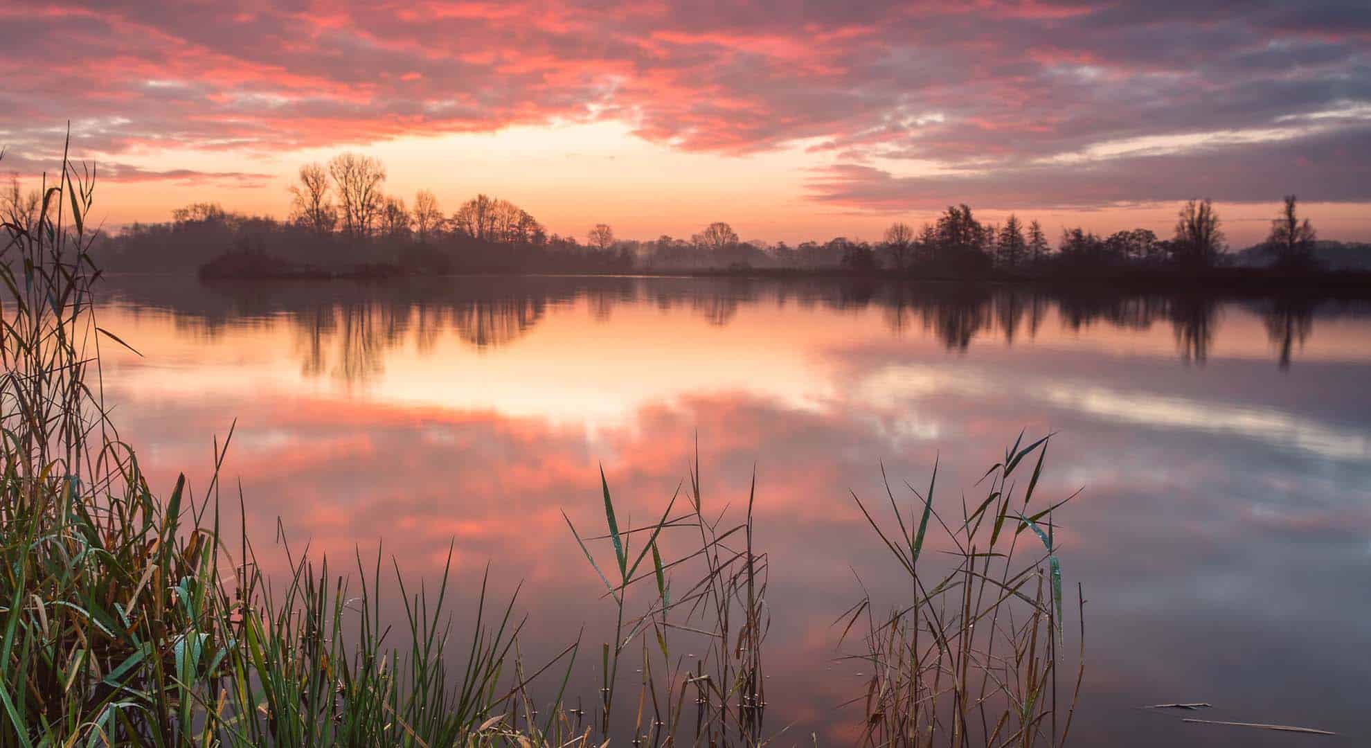 kleurrijk avondlicht
