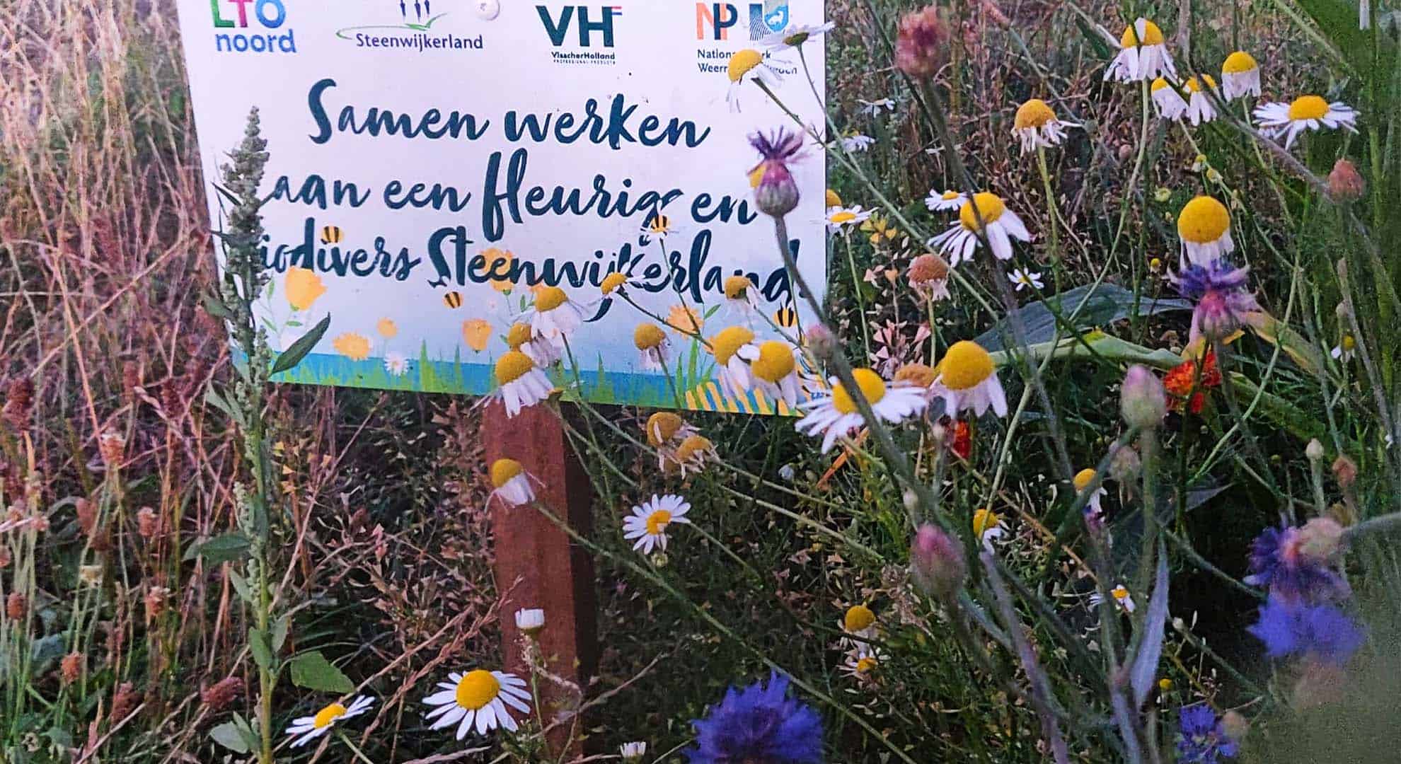 Bloemrijke akkerranden zijn goed voor de biodiversiteit - foto Klaas de Lande