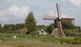 Spinnenkop molen “de Wicher”