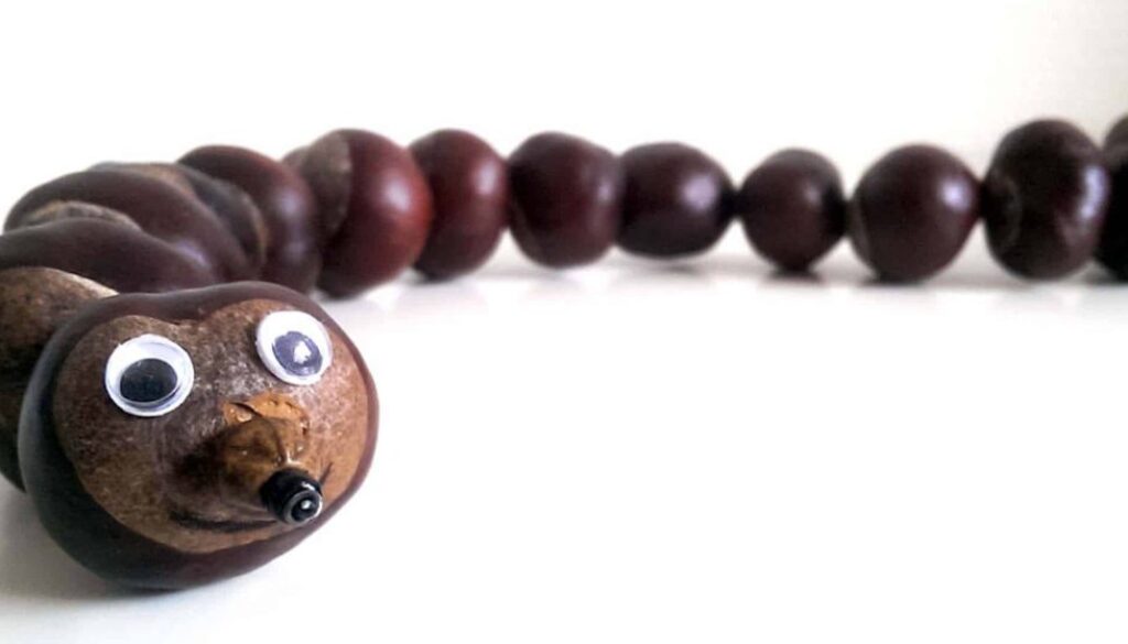 herfstknutsel-een-vrolijke-rups-van-kastanjes