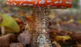 paddestoel - tiny house (Foto Pixabay)