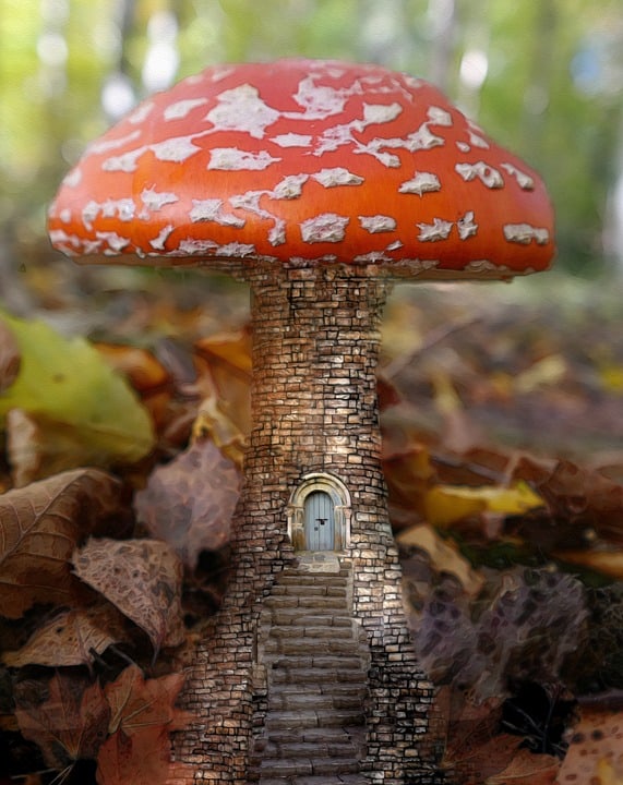 paddestoel - tiny house (Foto Pixabay)