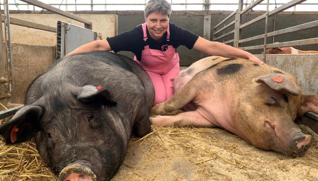 Annemarie Noordman tussen haar varkens