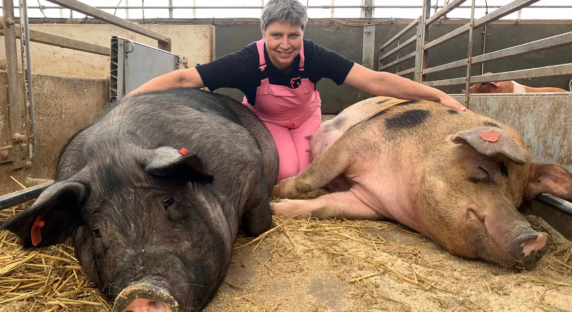 Annemarie Noordman tussen haar varkens