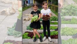 Gratis groentezaden