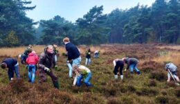 Kinderen bassischool helpen mee met beheer heide op Landgoed Rechteren