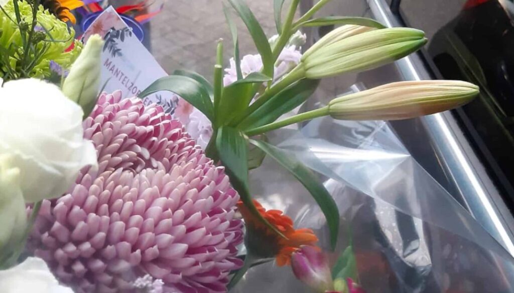 debloemen-steenwijk