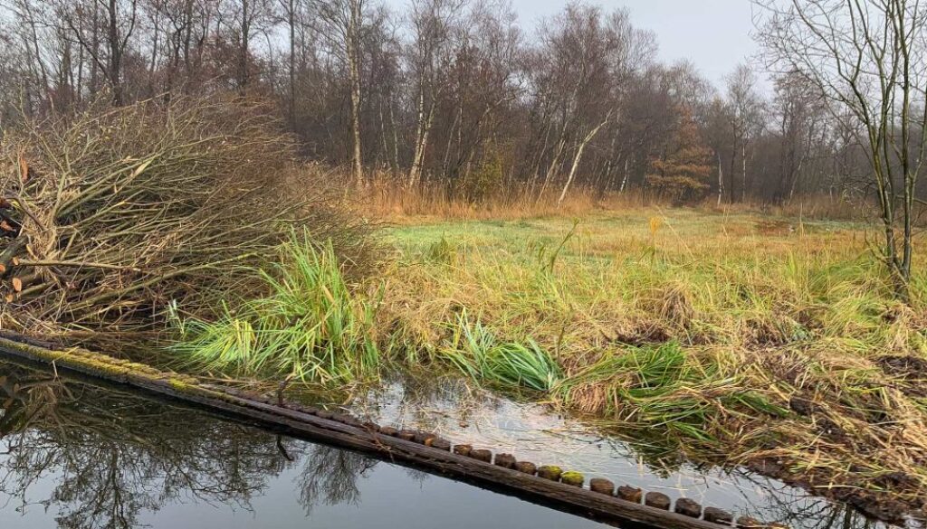 opknapbeurt vispaaiplekken Weerribben