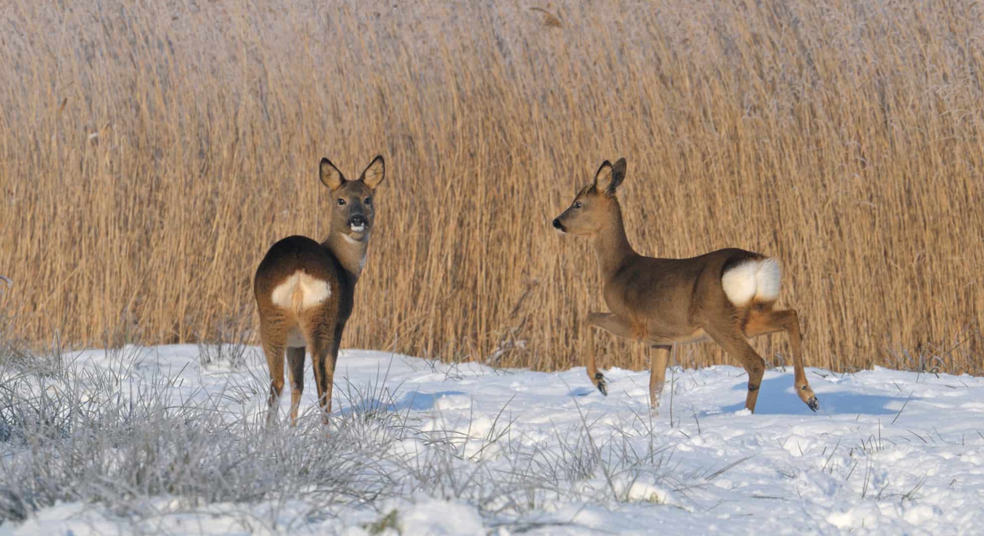 fotograaf-Philip-Friskorn