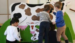 Foyerspeeltuin-Op-de-boerderij-_1_