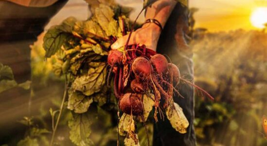 Onder-het-Maaiveld_ps_1_jpg_sd-low_Photo-by-Miriam-Brunke