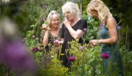 Bloem- en struikrijke omgeving voor insecten - Foto Martine Sprangers