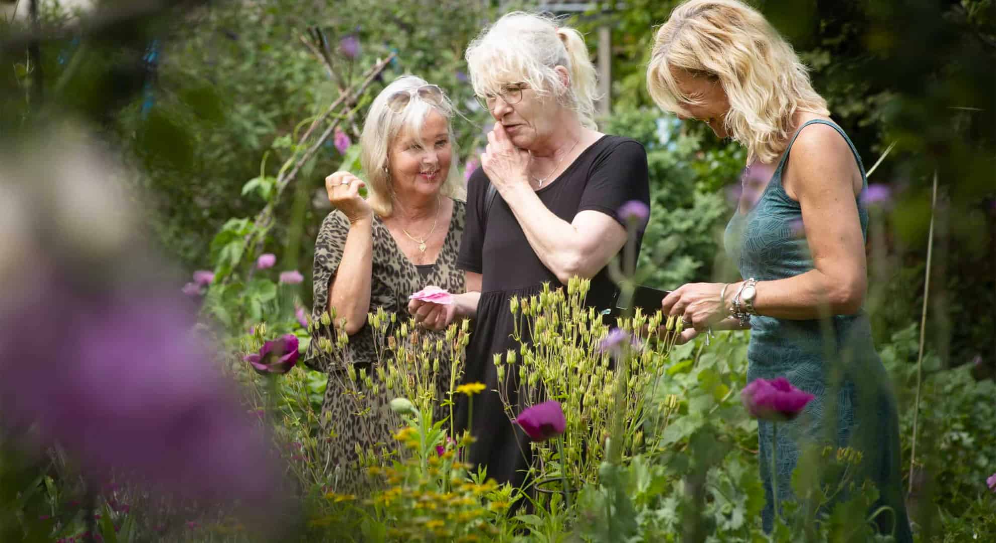 Bloem- en struikrijke omgeving voor insecten - Foto Martine Sprangers