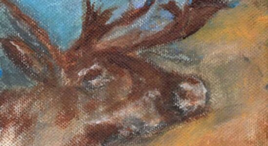 Cover Vogelpraat - Rendier