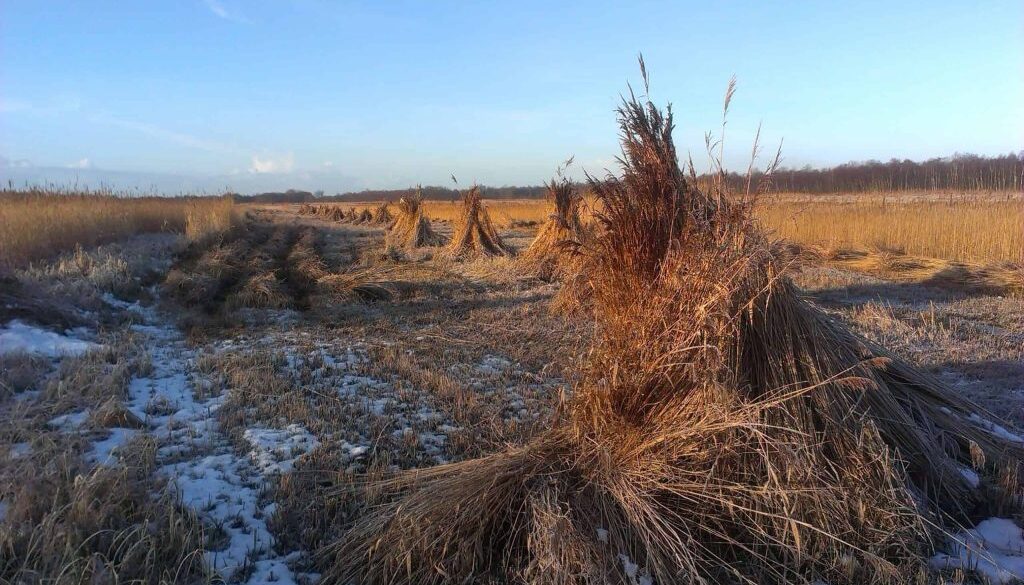 rietschoven winter