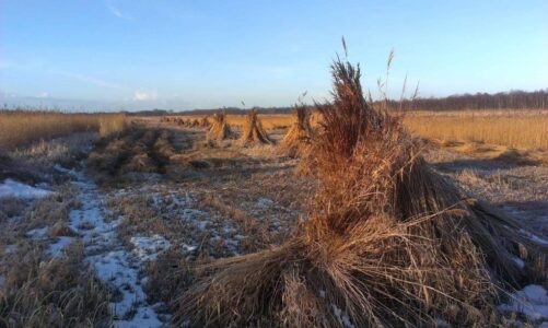 rietschoven winter