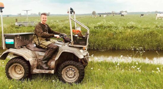 Muskusrattten bestrijden per quad