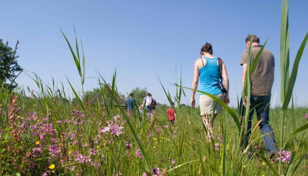 NAMO29994 wilde bloemen wandeling