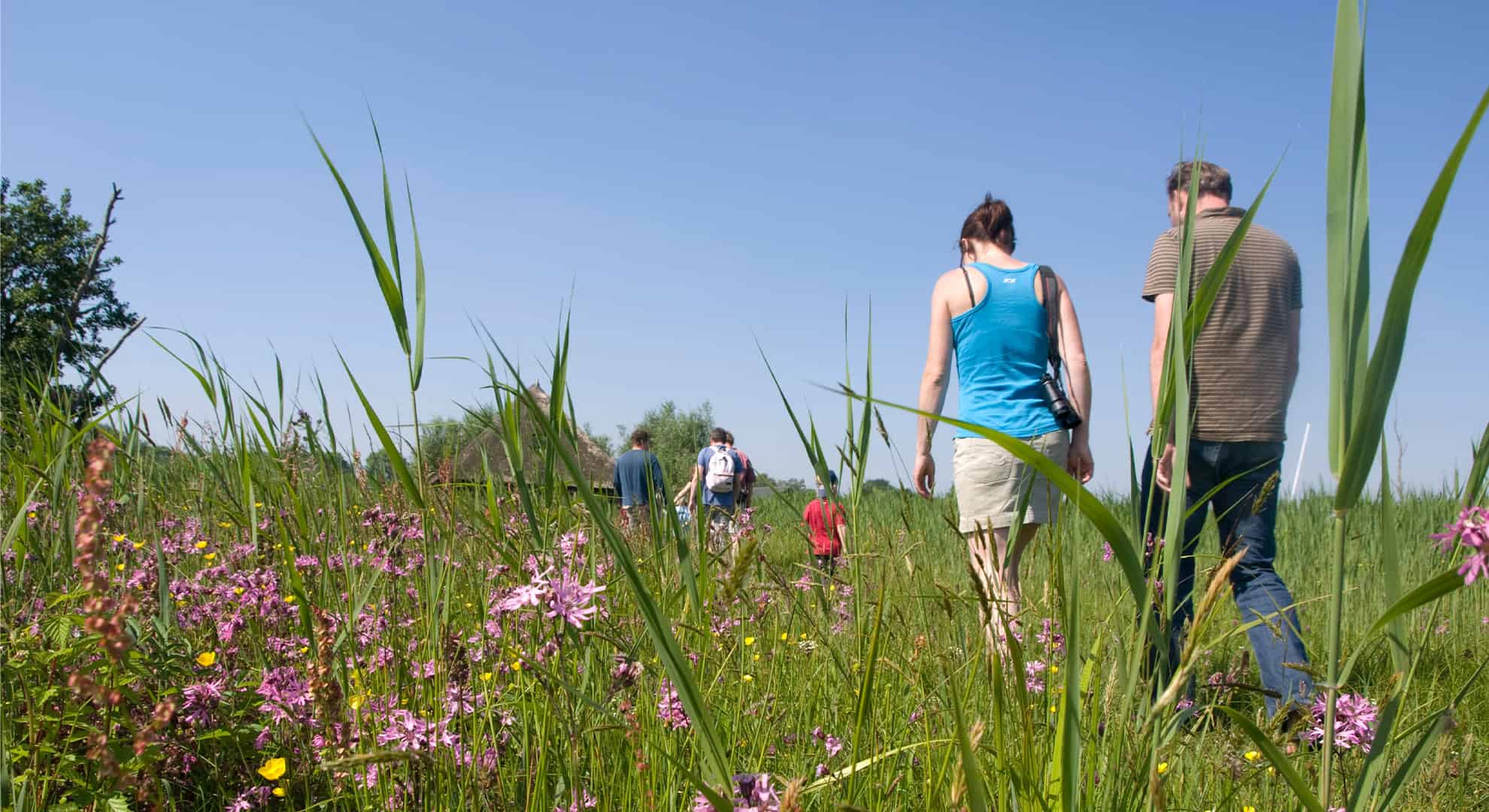NAMO29994 wilde bloemen wandeling