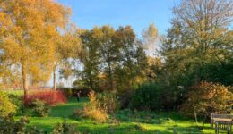 Voedselbos-Bouwie-Greenman-EetbaarGroen.nu