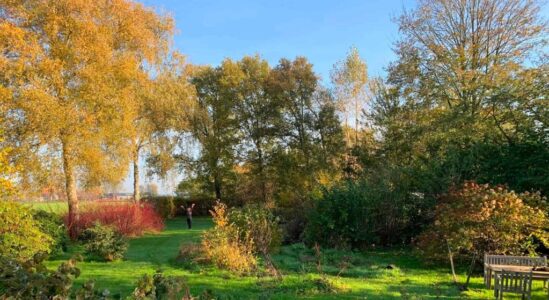 Voedselbos-Bouwie-Greenman-EetbaarGroen.nu