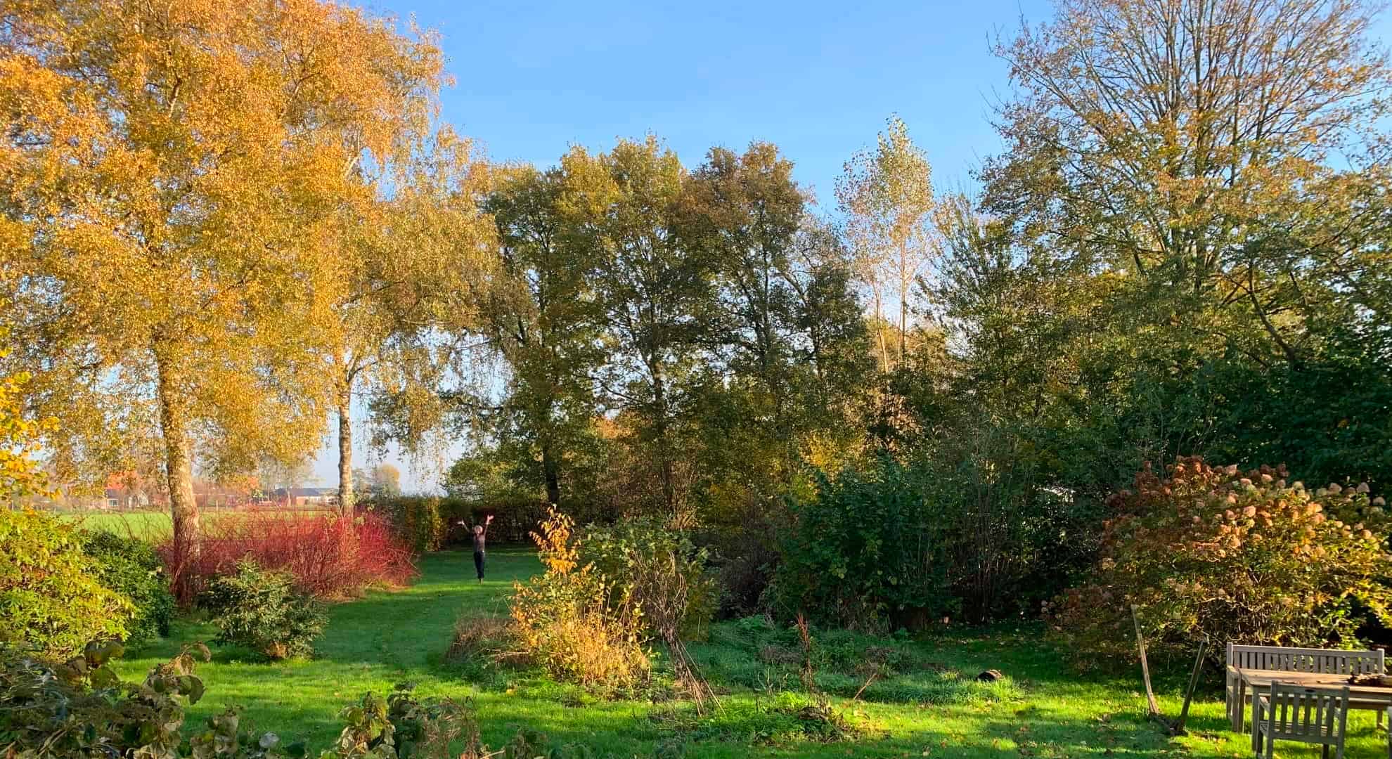 Voedselbos-Bouwie-Greenman-EetbaarGroen.nu
