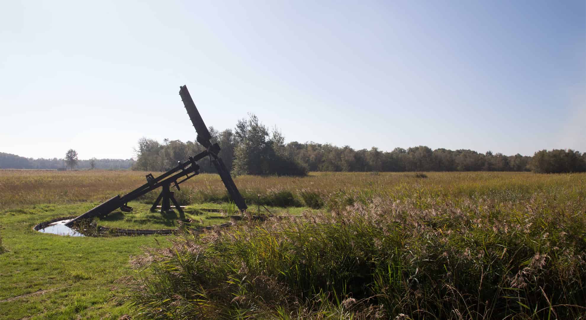 jasker, fotograaf Willem-Jan Hoeffnagel