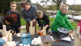 nestkast tmmeren3