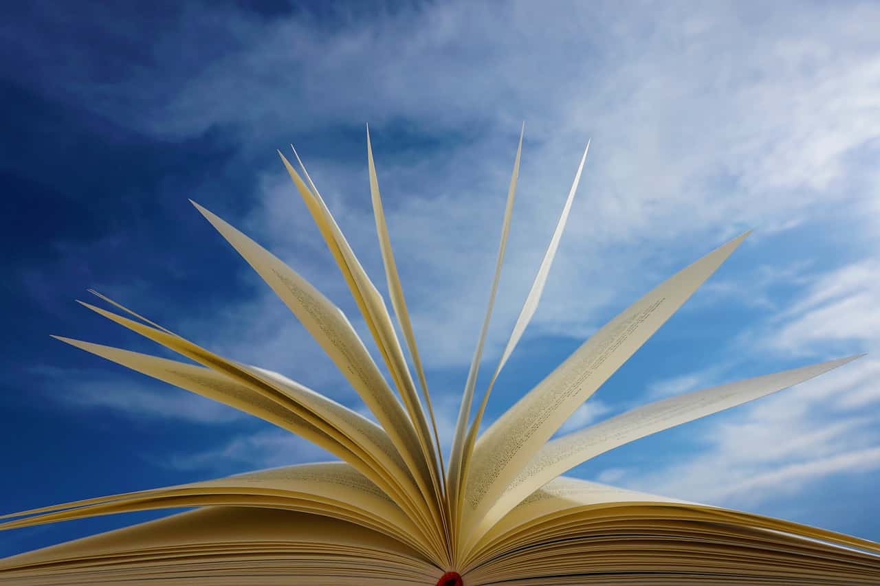 boek (Foto Pixabay)