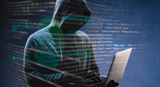 internetcriminelen