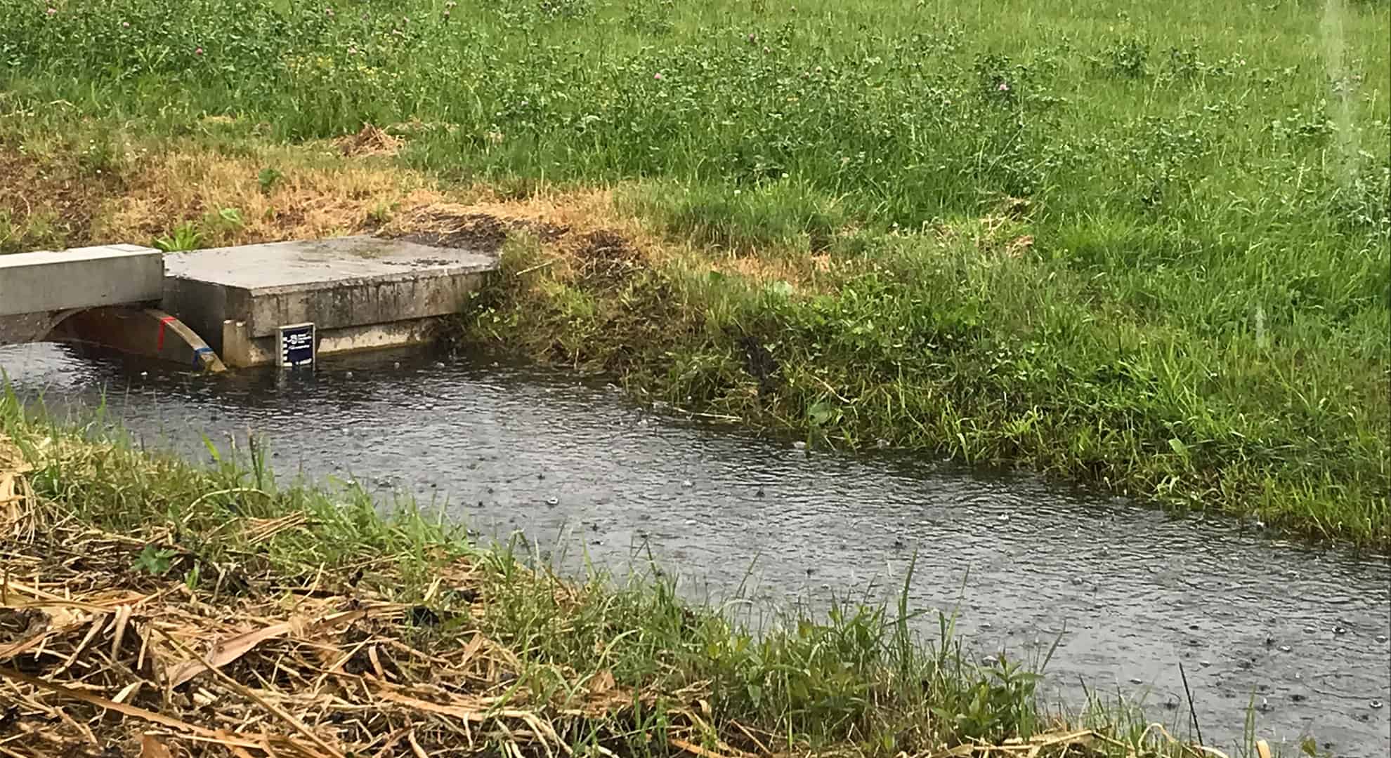 regen