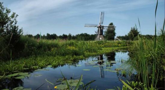 vaar excursie foto van beeldbank