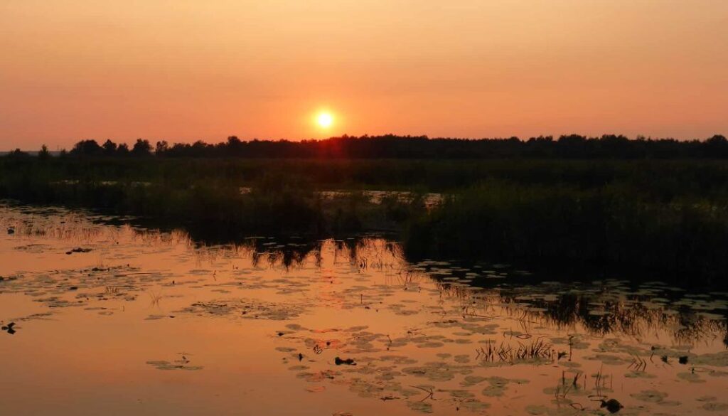 zonsondergang tiemen