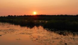 zonsondergang tiemen