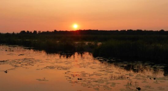 zonsondergang tiemen