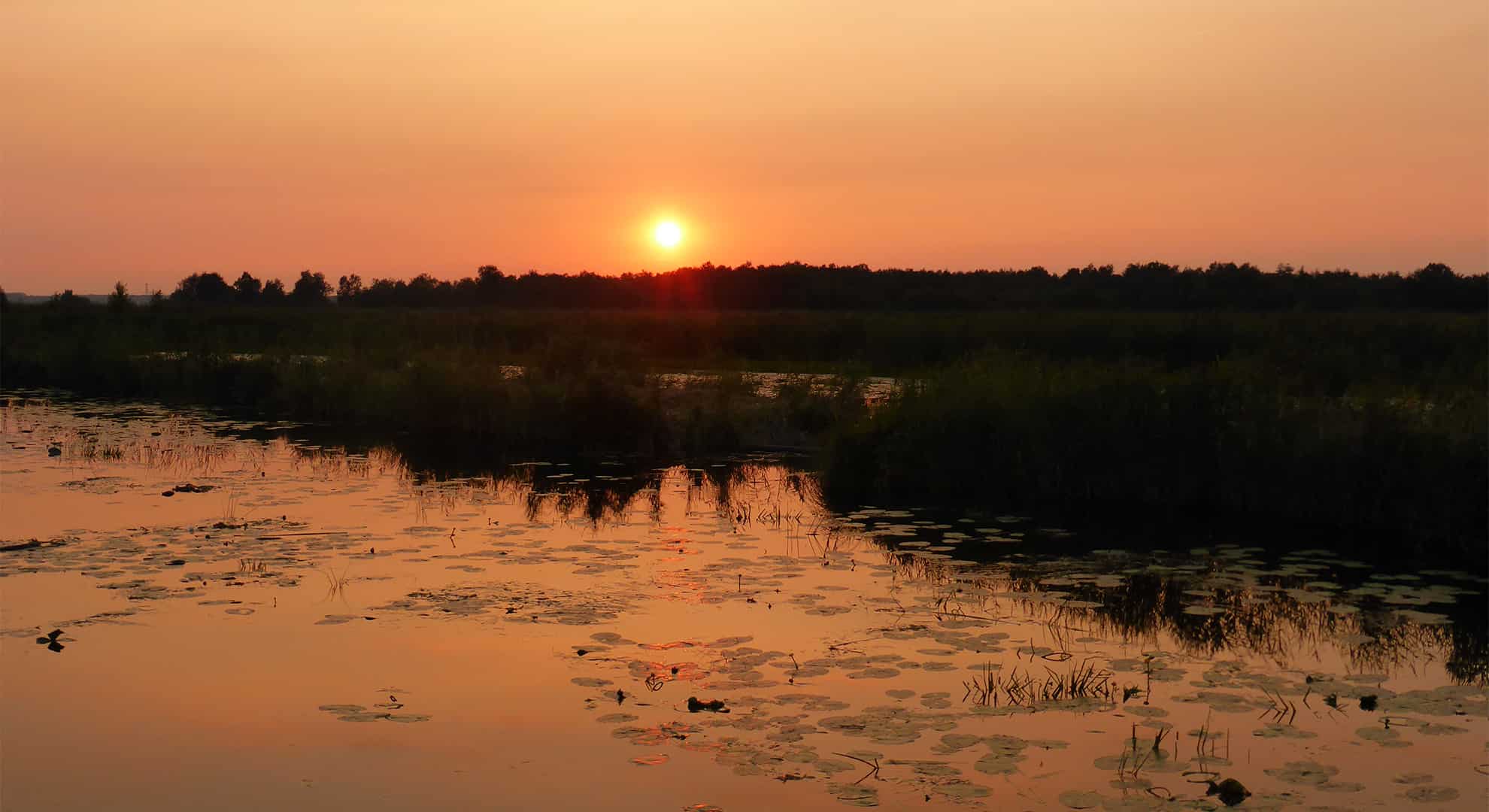 zonsondergang tiemen