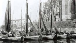Binnenhaven 5 bollen