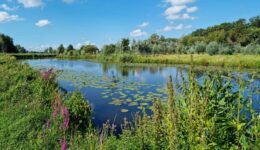 Droogte WDODelta