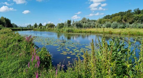 Droogte WDODelta