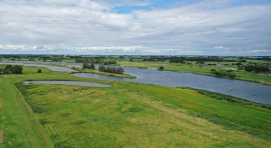 Luchtfoto - Natuur tussen Kampen en Kamperveen - 25 juli 2023 - foto door Demi de Kleine