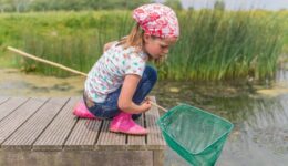 waterbeestjes
