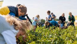 FoodCabinet_NationaleAardappelRooiDag_LiekeVermeulen_LV_R8582_02-09-2022_WebRes