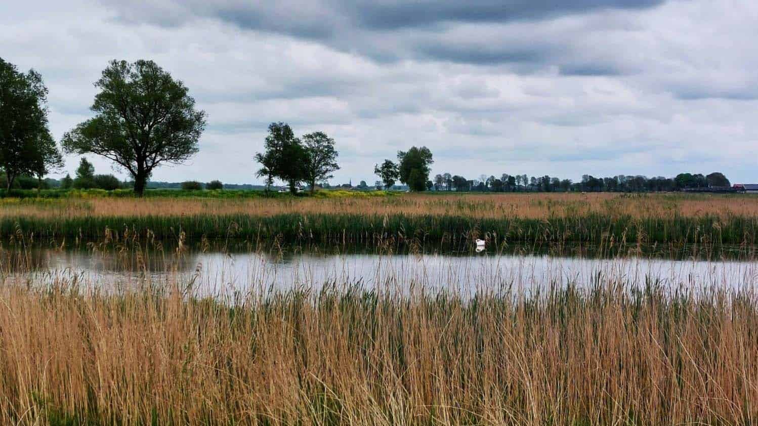 4 november natuurwerkdag foto froukje de vries