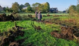 Poel-werkzaamheden-Marienwold3