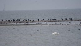 2 december excursie Gaasterland fotograaf Albert Steenbergen