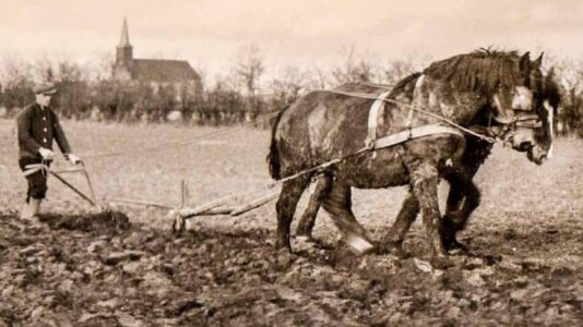 Het Heideveld