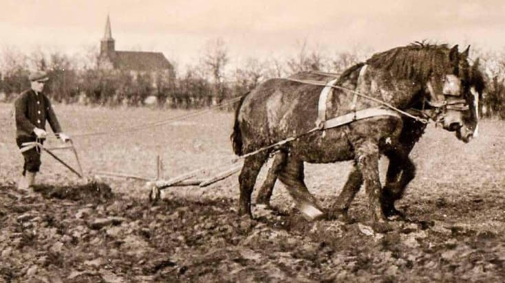 Het Heideveld