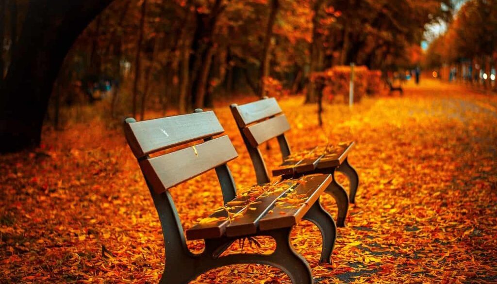 herfst (Foto Pixabay)