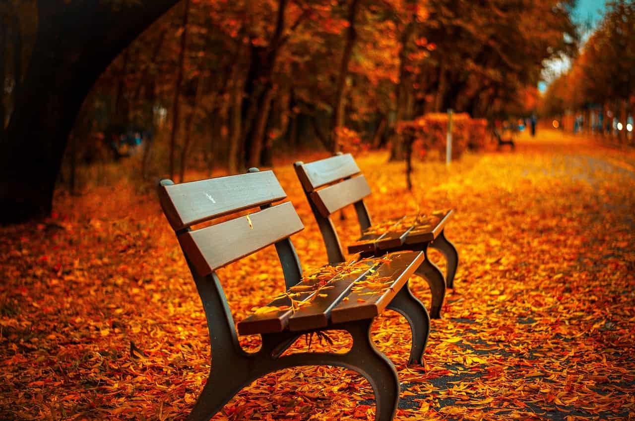 herfst (Foto Pixabay)