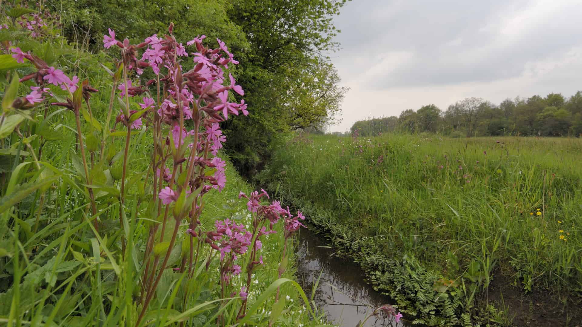 Landscape at Elsbroek with view on the valley of the Rolderdiep